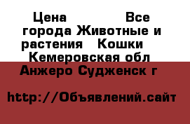 Zolton › Цена ­ 30 000 - Все города Животные и растения » Кошки   . Кемеровская обл.,Анжеро-Судженск г.
